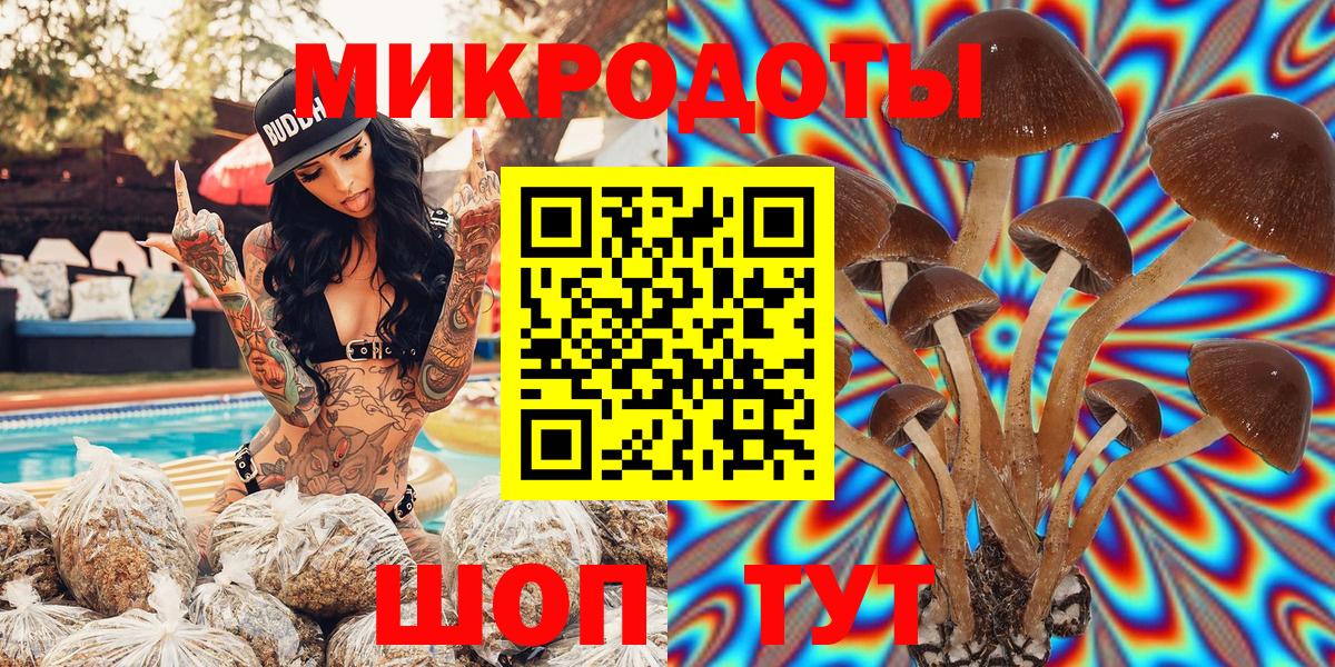 где купить наркоту  Галлюциногенные грибы Psilocybe  Мытищи  Вход с VPN  Галлюциногенные грибы Psilocybine cubensis 